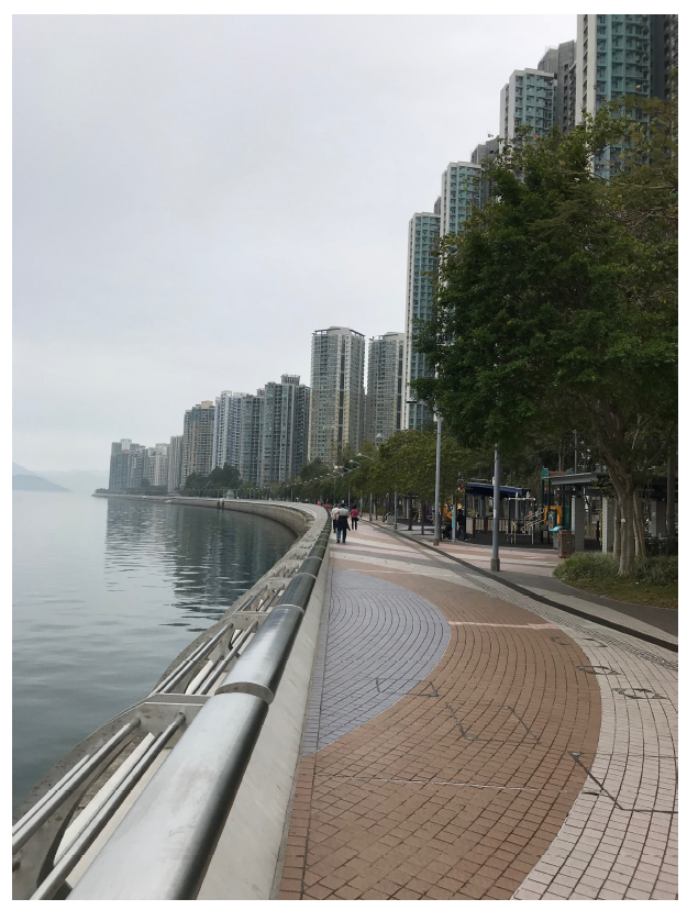 事实迁移人口_人口迁移思维导图
